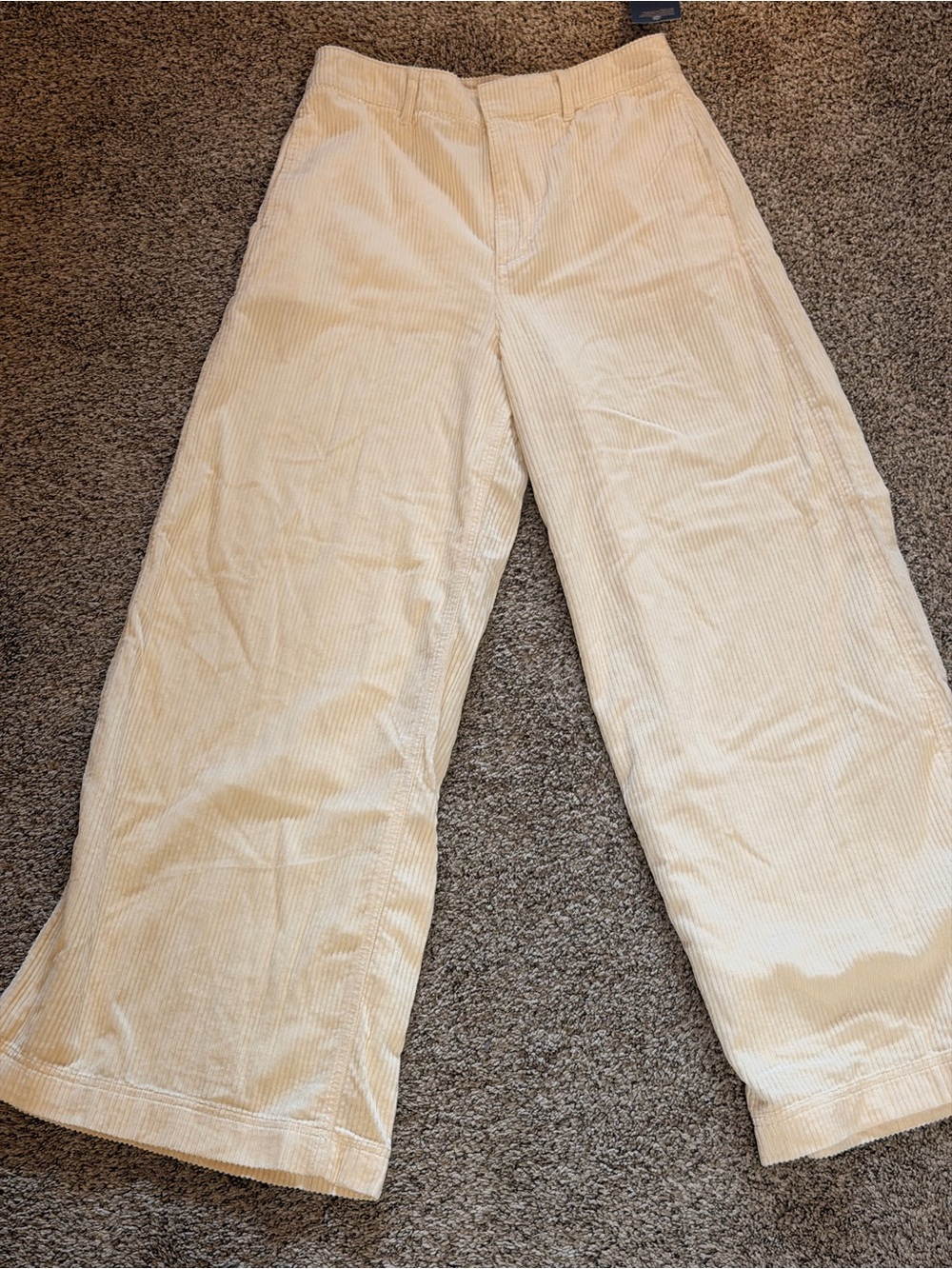 Universal Thread Wide-Leg Corduroy Pants in Cream size 8